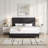 Aryia Boucle Upholstered Platform Bed-1719311902-1695484352