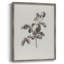 Impression florale vintage encadrée CECXV III - bois massif-1377226708