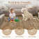 Machine Washable Rug with Rubber Backing Border Design Non-Slip Carpet for Living Room, Bedroom, Dining Room, Office, Playroom