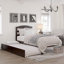 Lit plateforme en bois massif avec lit gigogne Elliana-177901083-177901085