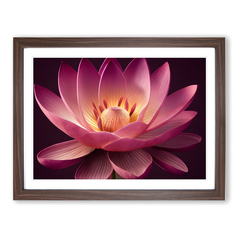 Dashing Lotus Flower - Framed Print, 25cm H x 34cm W x 2cm D, Walnut