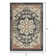 Oriental Indoor Rug