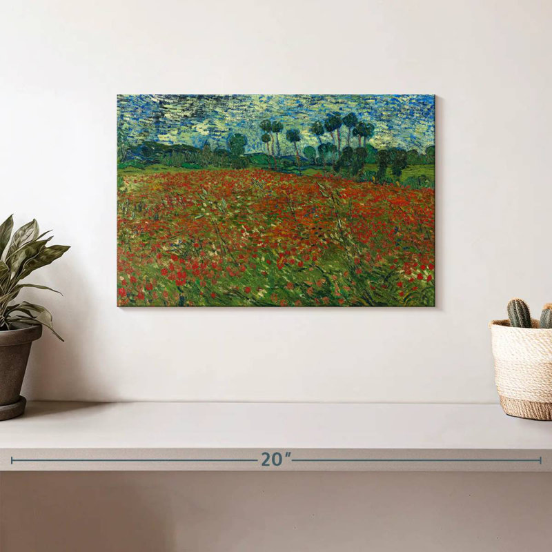 Champ de coquelicots Alvord 1890, H 8 po x l 12 po