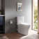 Aquia® Dual-Flush Elongated Two-Piece Toilet with Tornado Flush (Seat Not Included)
