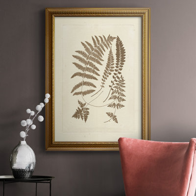 Sepia Ferns II Premium Framed Canvas- Ready To Hang -  Red Barrel StudioÂ®, AAFF7D00A5A6463AA79CFE523B4E6736