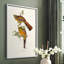 Impression encadrée Elegant Trogons II - bois massif-1315246332-1315246331