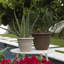 Pot à fleurs intérieur / extérieur Traditional-927975562-923313030
