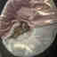 Customer photo 3 of 3
