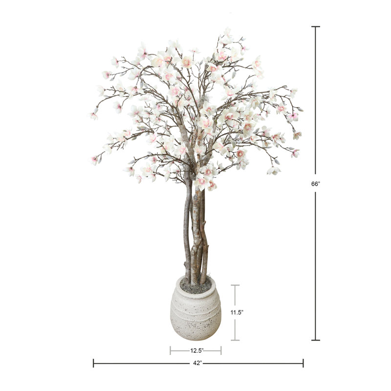 Magnolia Tree in Stone Pot