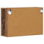 Accent Cabinet-1665459808