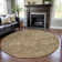 Premium Machine Washable Wayne AMF1101 Damask Rug