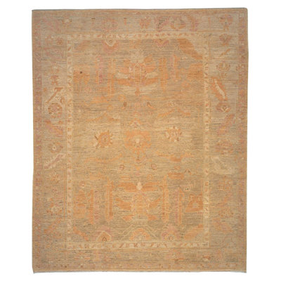 Navereh Wool Oriental Area Rug in Gold/Neutral/Taupe