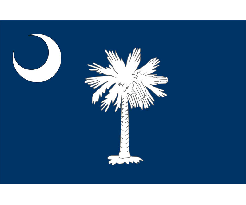 South Carolina State, 16" H x 24" W