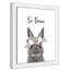 Le lapin est courage-48187589-48187569