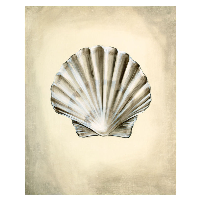 Seashells IV Print by Sydney Edmunds, Outdoor, 59" H x 47" W x 1.5" D