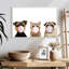 Bubble Gum, animaux de compagnie-2127541178-2127541177