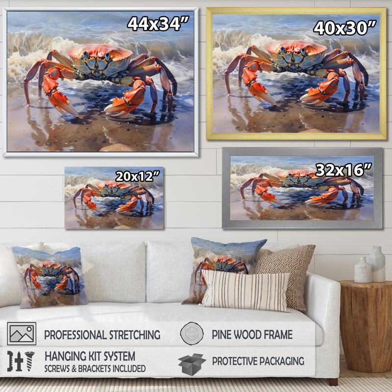 Crab Beachcombers II - Crab, art encadré, Cadre flottant noir, H 16 po x l 32 po x P 1 po