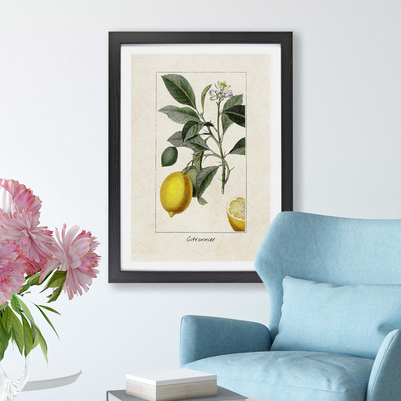 Illustration Of A Lemon Tree - Single Picture Frame Painting, Black Framed Paper, 45cm H x 33cm W x 2cm D