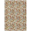 Tapis d'intérieur / extérieur lavable à la machine Chantille ACN2454-616704180-616704185