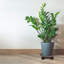 Support de plante rond 3 pièces-239968083