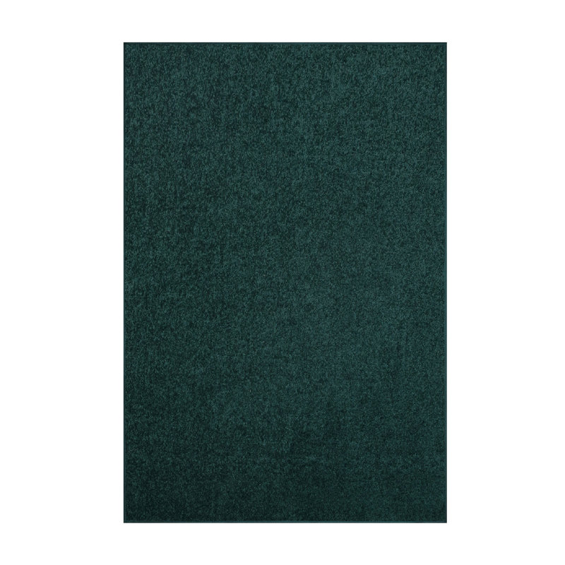 Modern Plush Pet and Kids Friendly Solid Color Area Rugs, Stain & Fade Resistance, Bedroom, Playroom and Kidsroom, Event, Wedding, Perfect for Living Room, Dining Room, Forest Green Rug