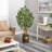 66'' Faux Ficus Tree in Wood Planter