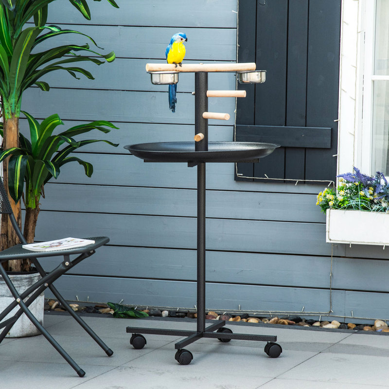 Support portatif pour perroquet, quatre roues, bols en acier inoxydable, gris, station de support pour oiseaux, portable, espace