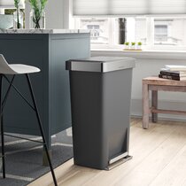 https://assets.wfcdn.com/im/07739025/resize-h210-w210%5Ecompr-r85/7186/71864309/Simplehuman+45L+Rectangular+Pedal+Bin+with+Liner+Pocket.jpg