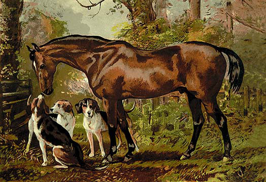 Samuel Sidney - Print, 20" H + x  30" W x 1.5" D