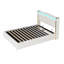 Danayjah Upholstered Bed-803665019-803665020