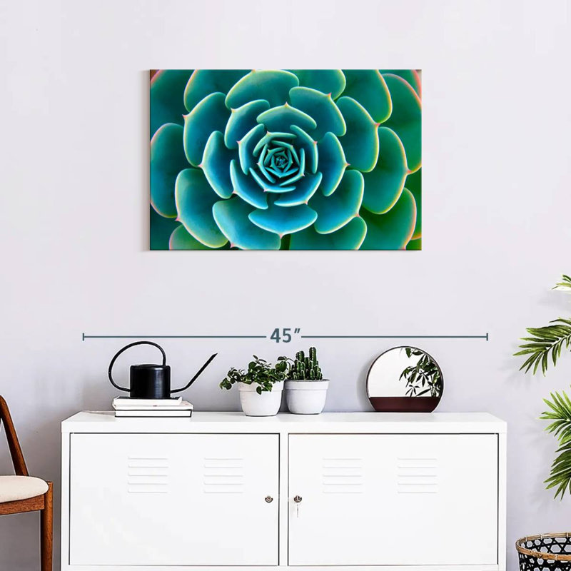 Live Succulent Canvas Print, 20" H x 30" W x 1.25" D