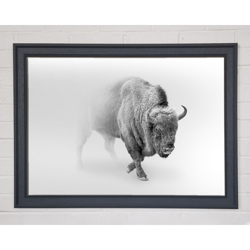 Bison In The Mist - Single Picture Frame Print, 59.7cm H x 84.1cm W x 3.4cm D, Black Framed Paper