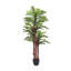 200cm Plant