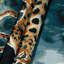 Tapisserie murale Wildlife-133634920