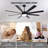 72 In. Dimmable Led Indoor/outdoor Black Ceiling Fan With Light And Remote, 8 Blades, 6 Speeds Dc Reversible, Noiseless