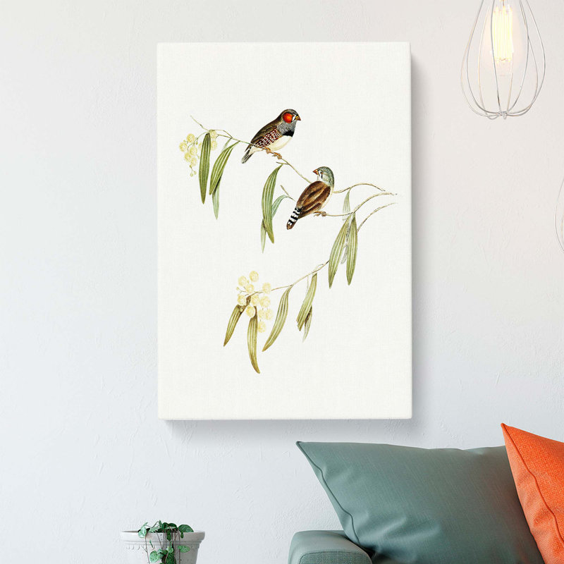 Chestnut-eared Finch by Elizabeth Gould - Wrapped Canvas, 76cm H x 50cm W x 3cm D