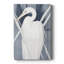 ANIMALS Series CECL XXV III - Gallery Emballé sur mesure-1544857618