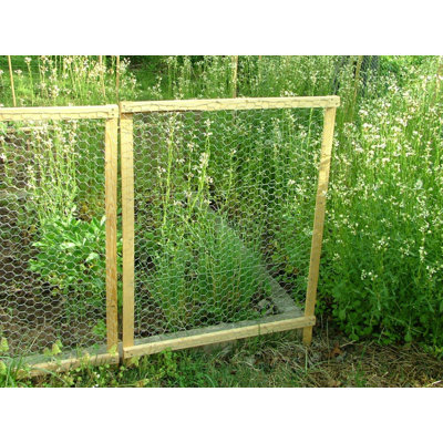 Eugenia Wire Mesh
