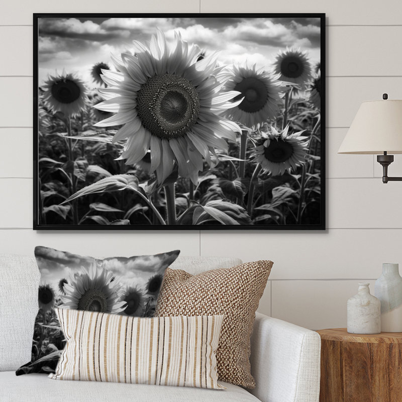 Tournesol noir et blanc I, H 24 po x l 32 po x P 1 po, Cadre flottant noir