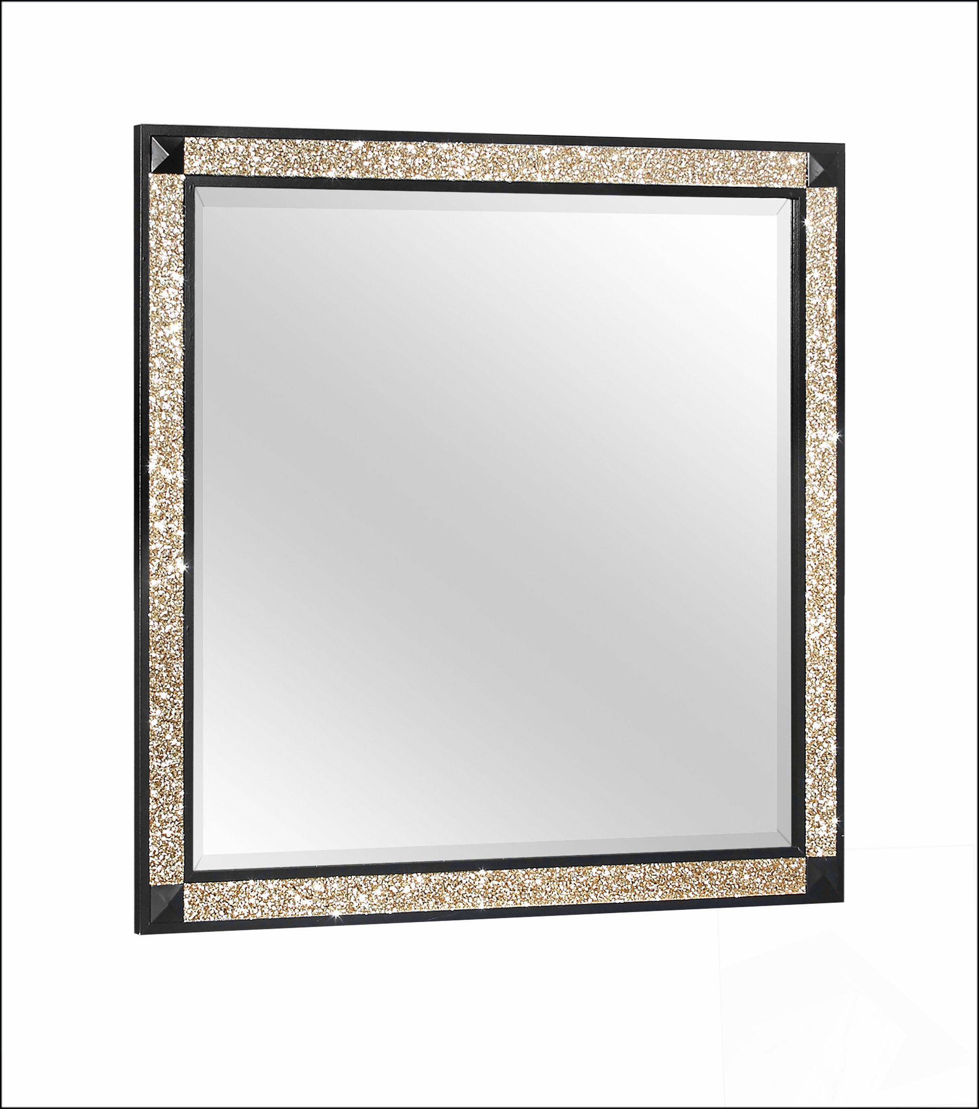 Mercer41 Lively Black and Gold Large Wall Mirror, Perfect for Enhancing ...