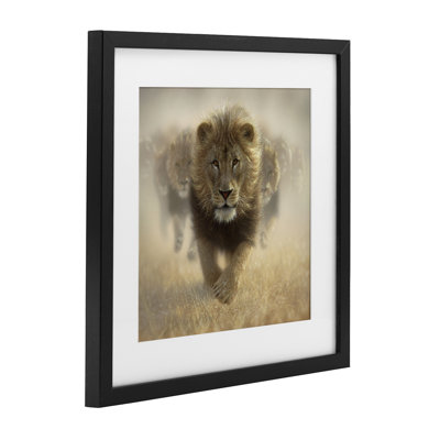 Eat My Dust Lions Framed Print Under Glass, design by Collin Bogle