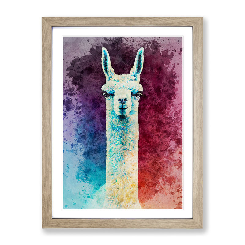 Llama Portrait - Framed Print, 46cm H x 34cm W x 2cm D, Oak