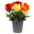 Red, Orange & Yellow Rosebud / Set of 1