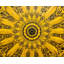 Solar Pasto