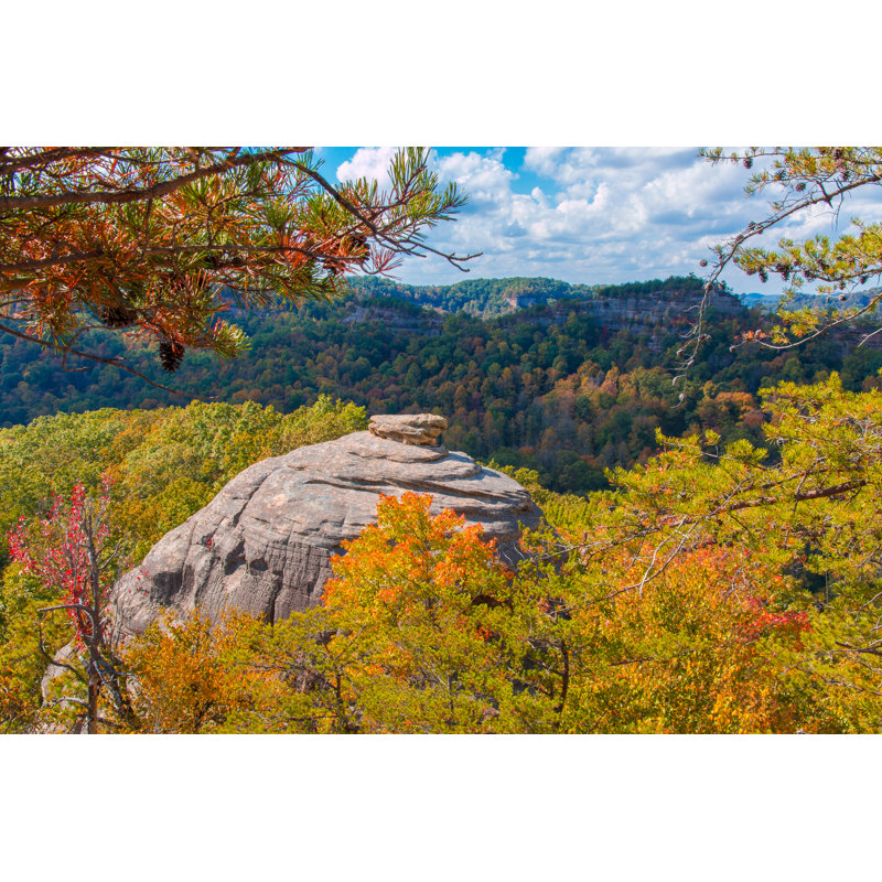 Daniel Boone Forest by Volgariver - Wrapped Canvas Print, 30cm H x 46cm W