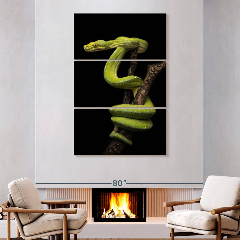 Brampt Python Wrapped Around A Branch