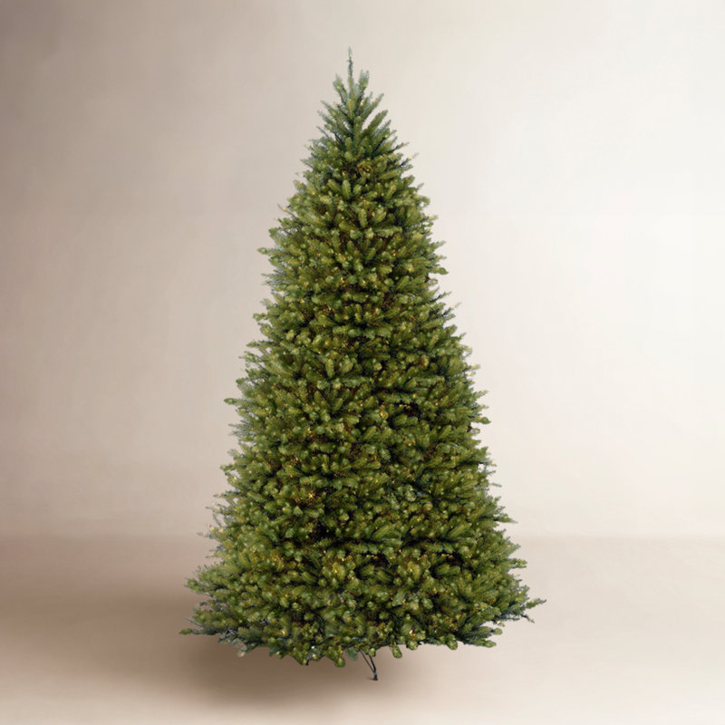 Dunhill Fir Tree with Clear Lights, 12'