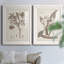 Antique sépia botanicals I - ensemble de 2 reproductions d'art sur papier encadré-441894850-441894857