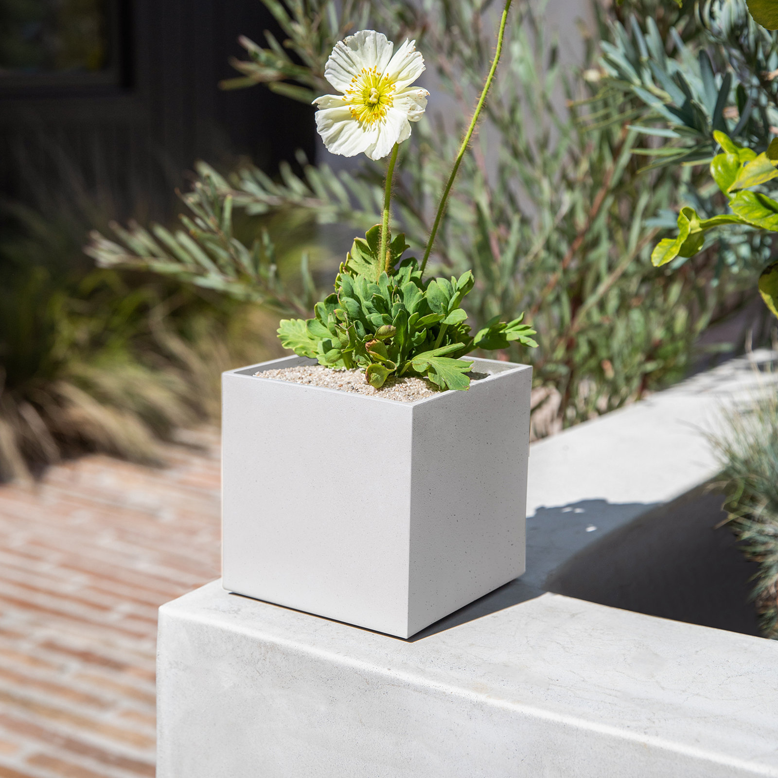 Geo Series 5" Pot Planter, White, 1