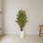 Bamboo Tree in White Tower Planter